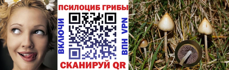 продажа наркотиков  Салехард  Галлюциногенные грибы Magic Shrooms 